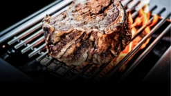 Broil King Gem 310 Gas BBQ 16 Broil King Gem 310 Gas BBQ -THE BBQ SHOP baron 490 ir 875283ir no text f4 2083x1173 1000x563 1